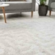 patterned carpet in living room