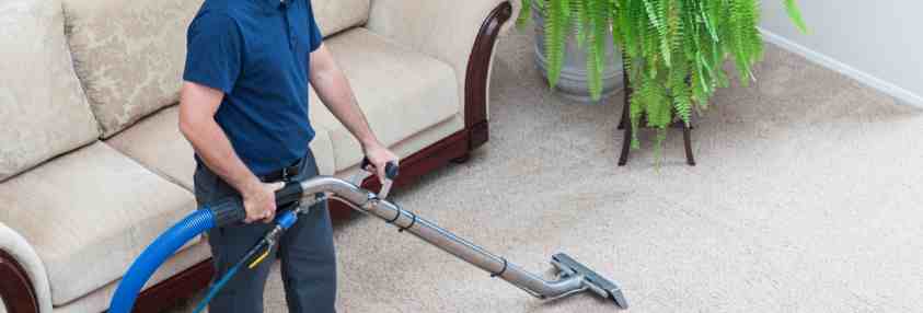 professional carpet cleaning by a man