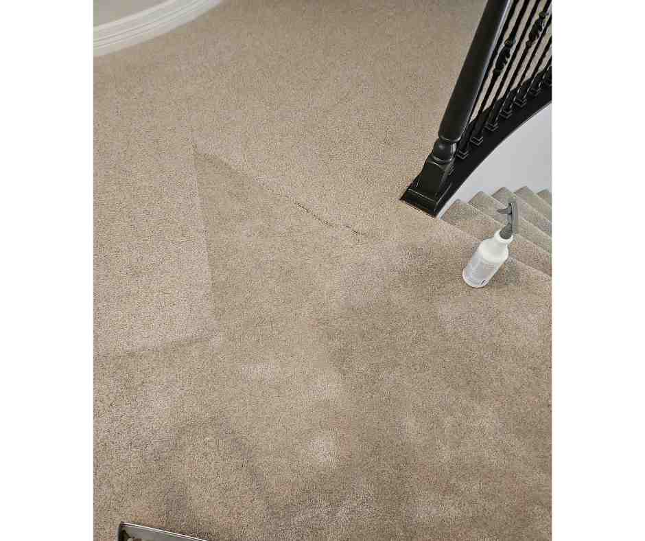 carpet cleaning results by Chase Carpet Care
