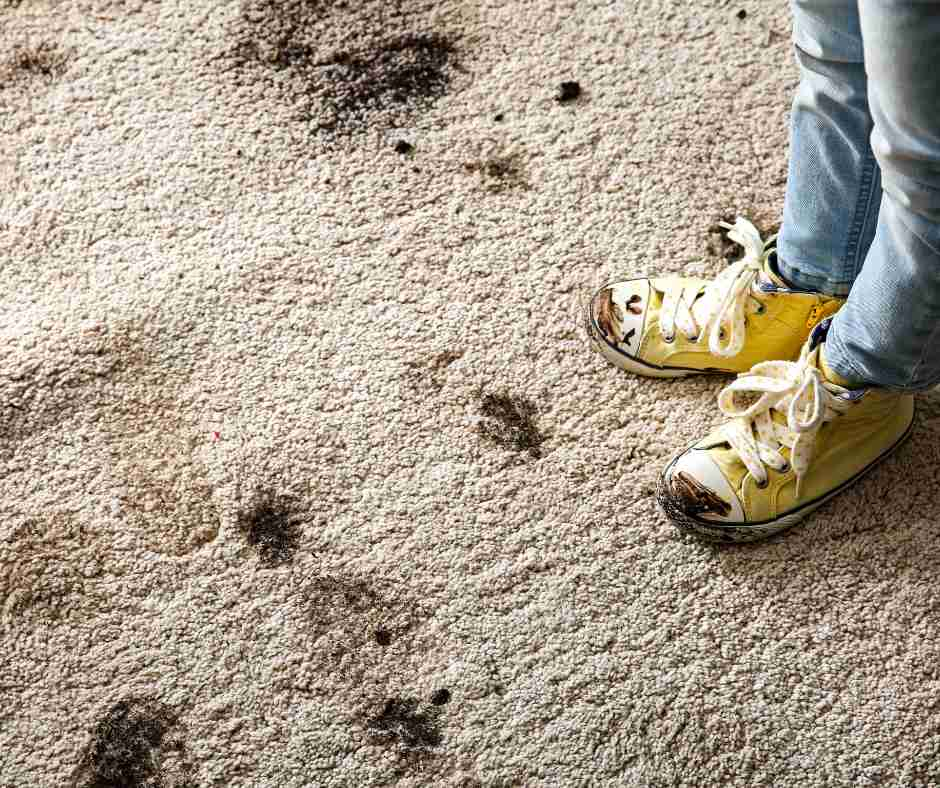 dog tracked in mud