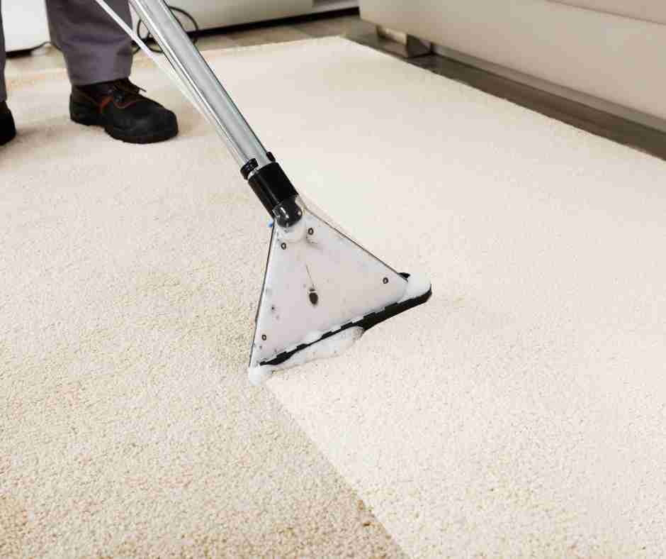 man professionally cleaning a white carpet