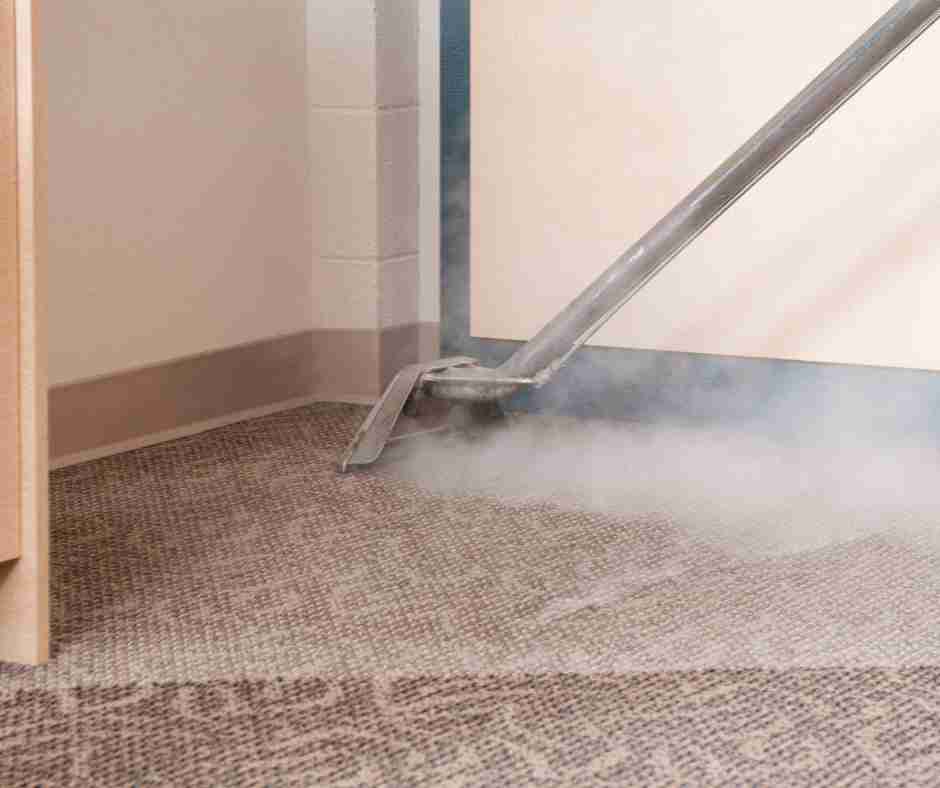 professionally steam cleaning a carpet